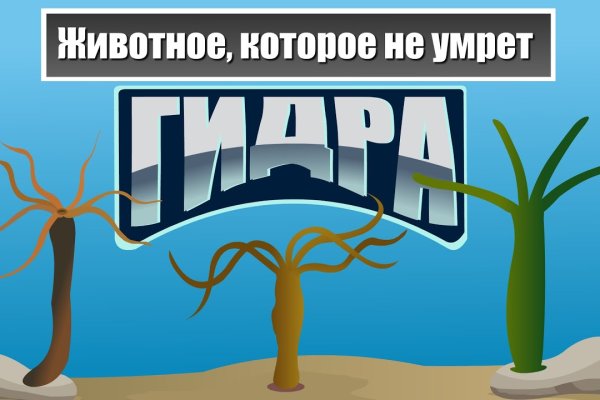 Кракен площадка