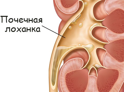 Ссылка кракен не работает